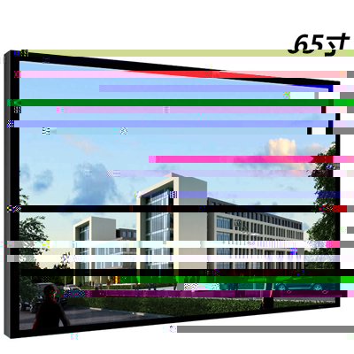65寸液晶监视器